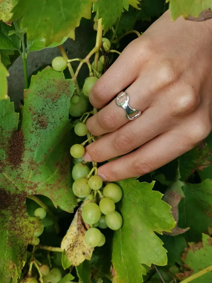 Une main portant une bague de la marque De Percin touche du raisin vert